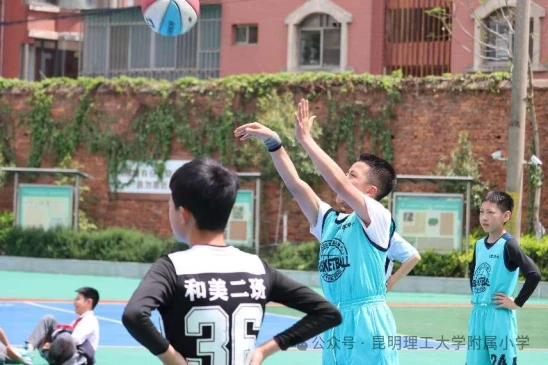 篮球训练反思总结学生怎么写_2