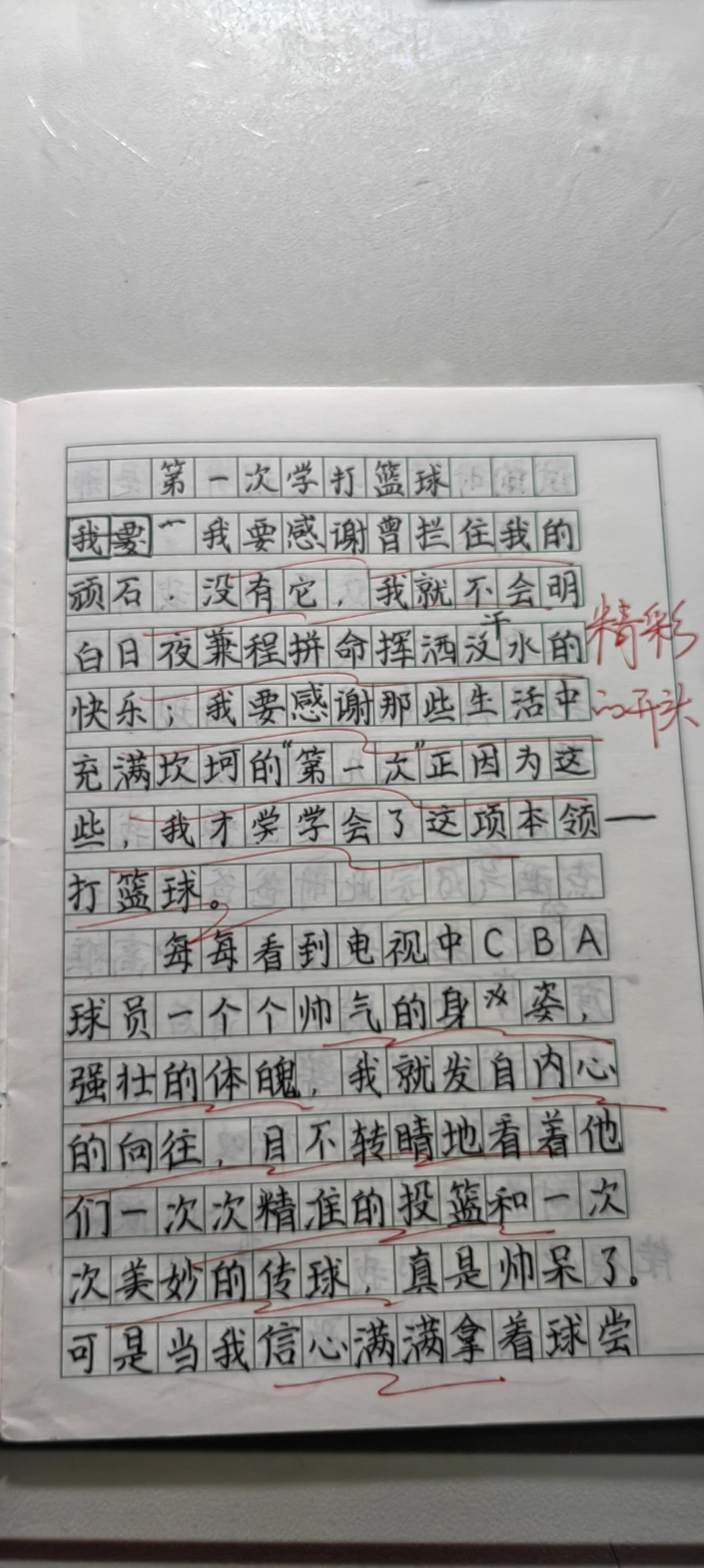 如何为篮球教练提供持续的专业辅导_1